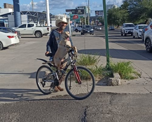 Mesera enamora a los automovilistas del Morelos