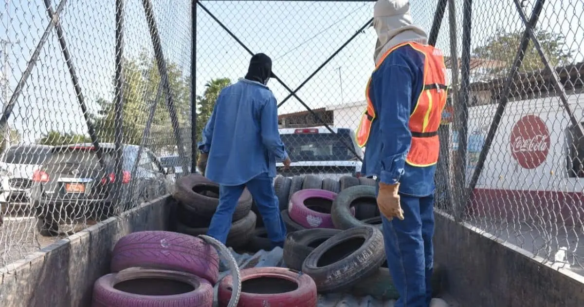 Campaña de descacharre llegará a estas colonia de Navojoa
