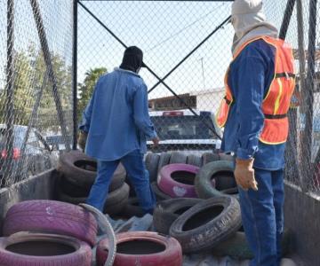 Campaña de descacharre llegará a estas colonia de Navojoa