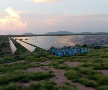 Parque Fotovoltaico de Navojoa se encuentra en total abandono