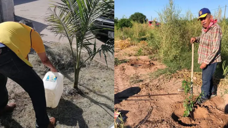 Jonathan Castellón/EXPRESO