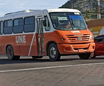 Llaman a la ciudadanía a no tirar huevazos contra camiones en Halloween