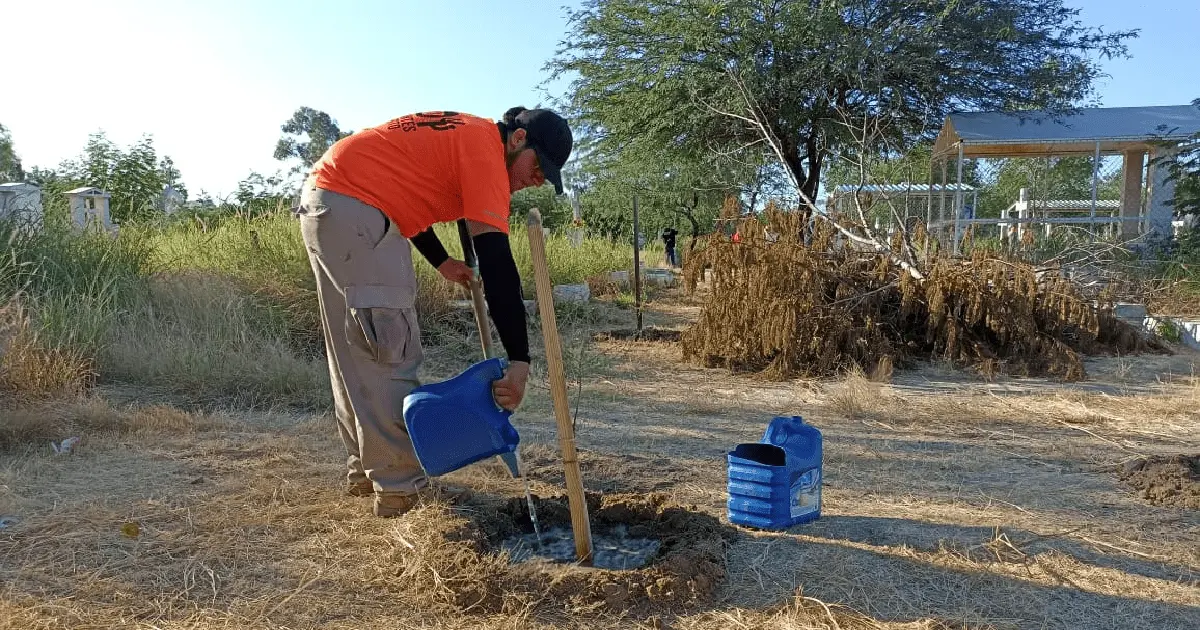 Caminantes del Desierto celebran 5 años y reforestan el Panteón Yáñez