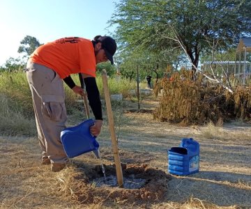 Caminantes del Desierto celebran 5 años y reforestan el Panteón Yáñez