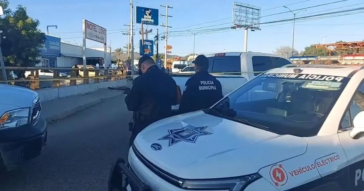 Encuentran a hombre sin vida en el Solidaridad tras presunto suicidio