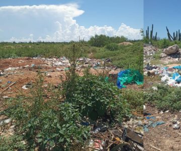 Utilizan terreno de basurero al sur de Sonora; piden regularización