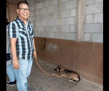 Guaymas consciente: ciudadanos llevan a esterilizar a perros de la calle