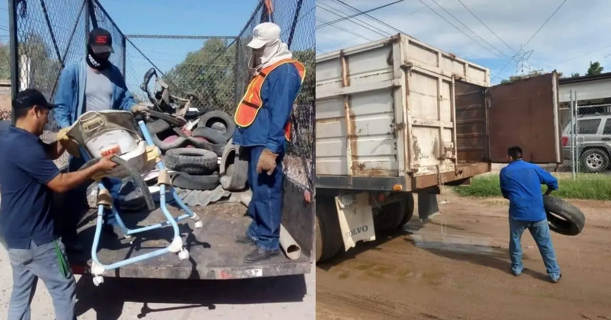 Colonias de Navojoa tendrán jornada de descacharre por dengue
