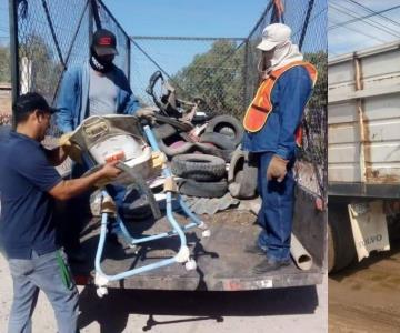 Colonias de Navojoa tendrán jornada de descacharre por dengue