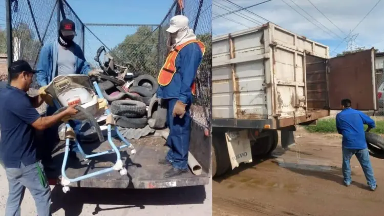 Fotos: Ilustrativas.