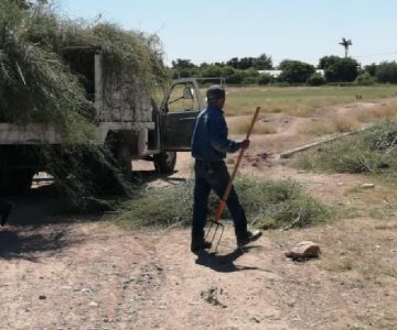 Avanzan en la limpieza de unidades deportivas de Navojoa