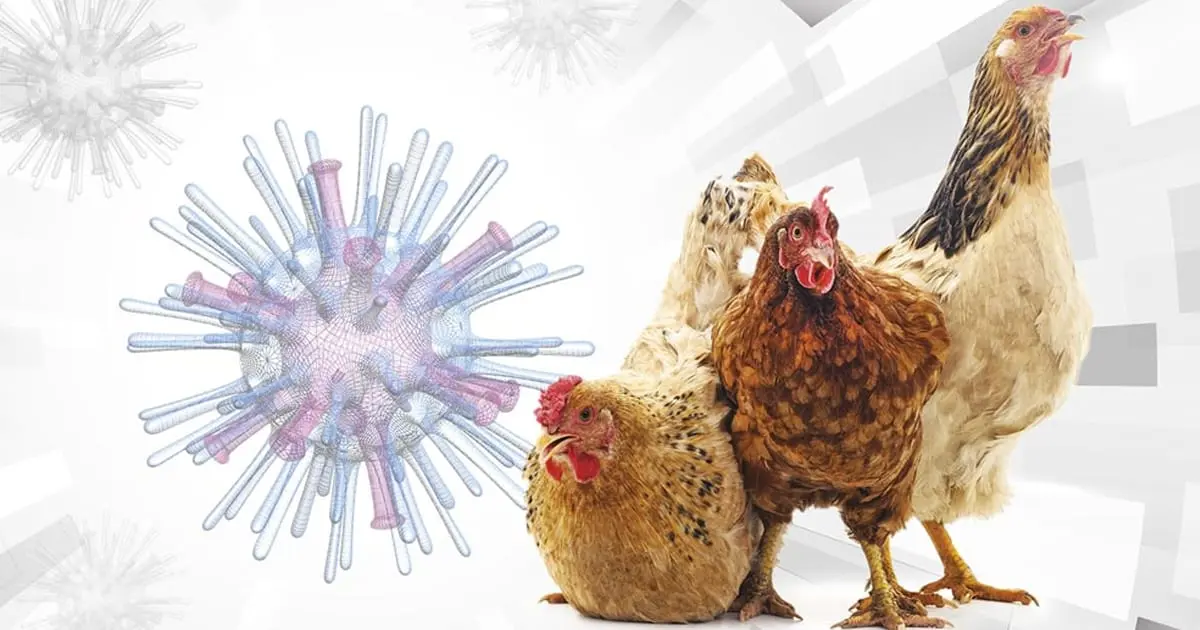 Presenta México primer caso de H5N1: OMSA
