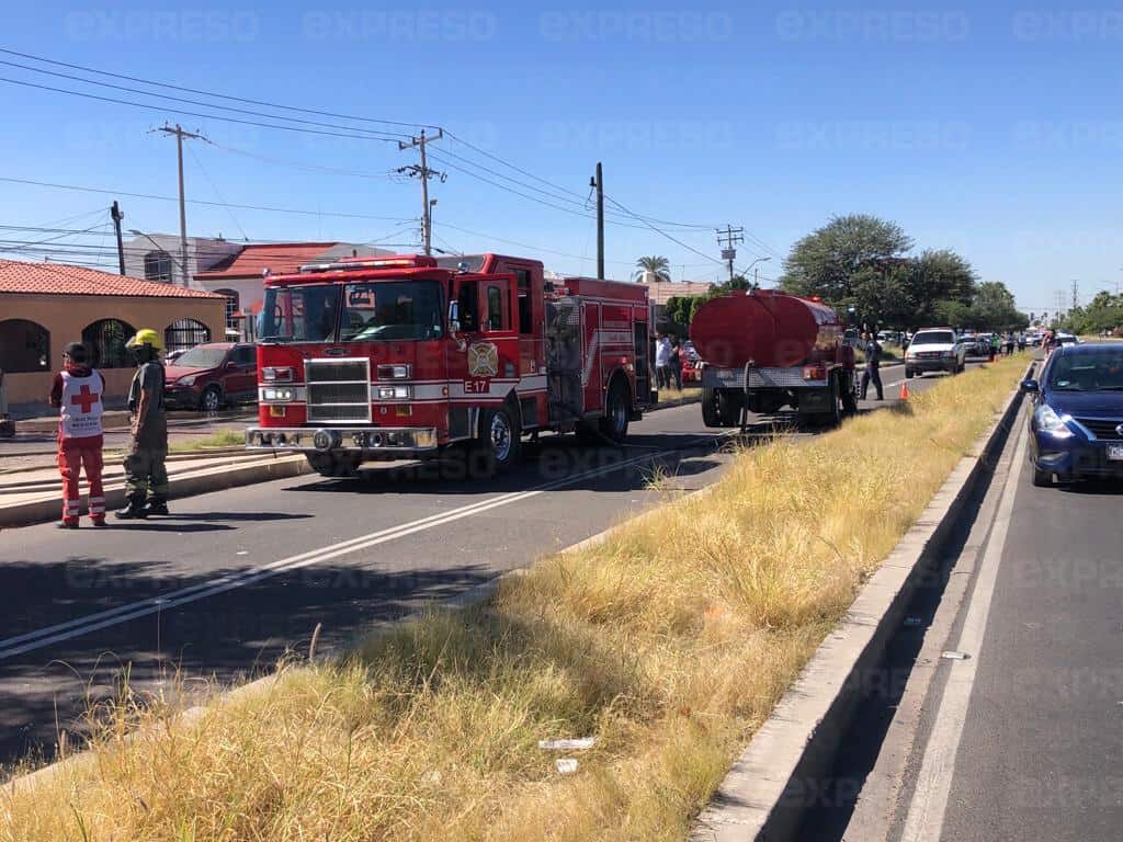 Galería | Explota negocio de comida en la colonia Residencial de Anza