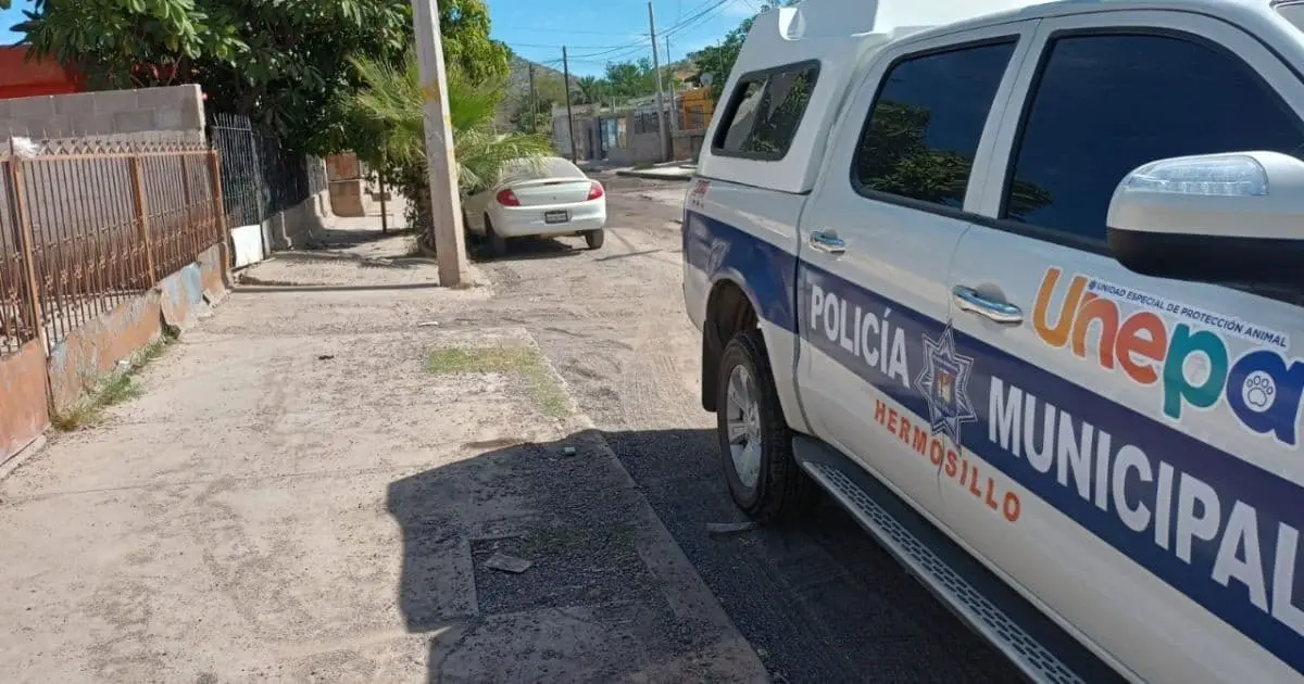 Menor es atacada por un perro y termina en el hospital