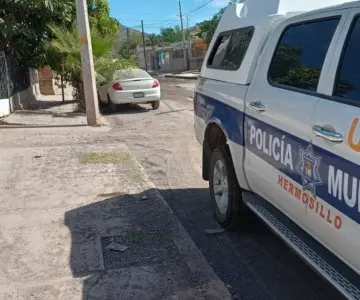 Menor es atacada por un perro y termina en el hospital