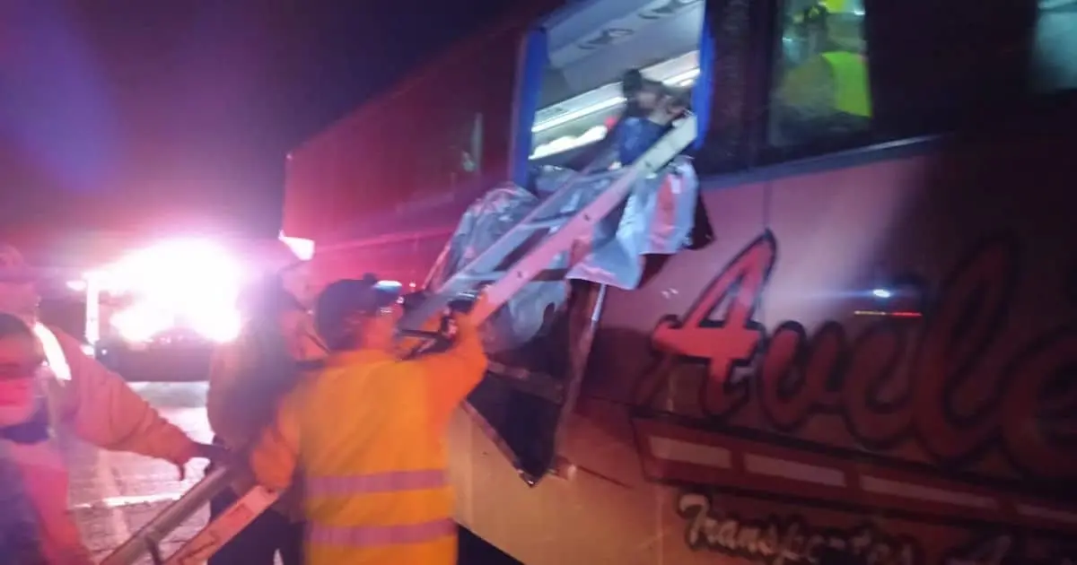 Camión de pasajeros se estrella contra caballos en media carretera