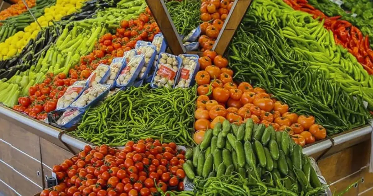 Exportación agrícola aumenta ingresos pese al bajo volumen
