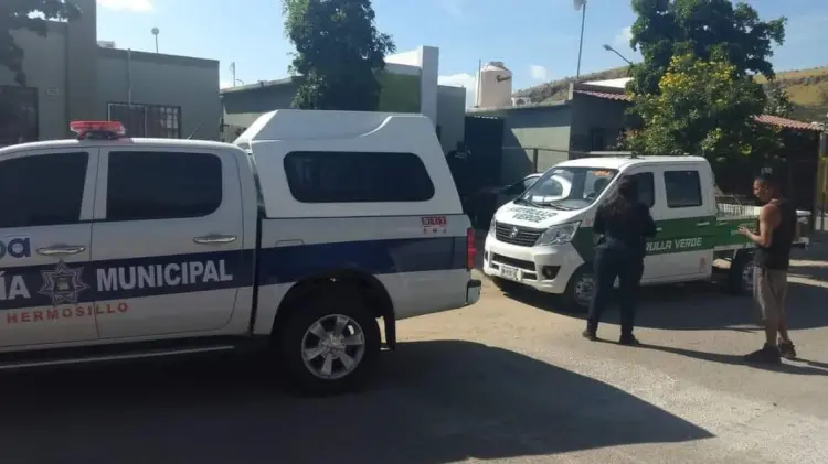 Foto: Cortesía de Unepa.