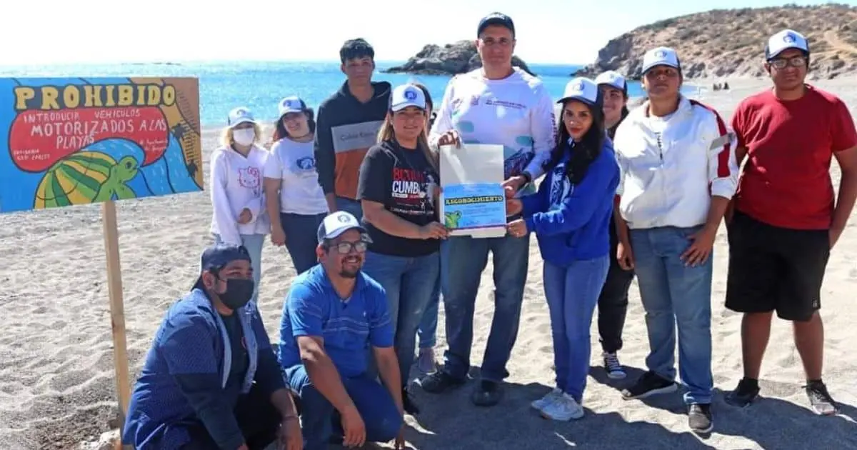 Llaman a tener cuidado con nidos de tortugas en playas de San Carlos