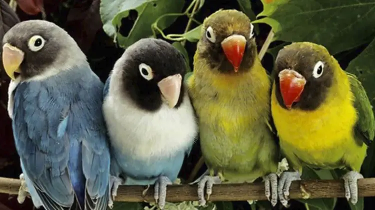 Foto: Especial/EXPRESO