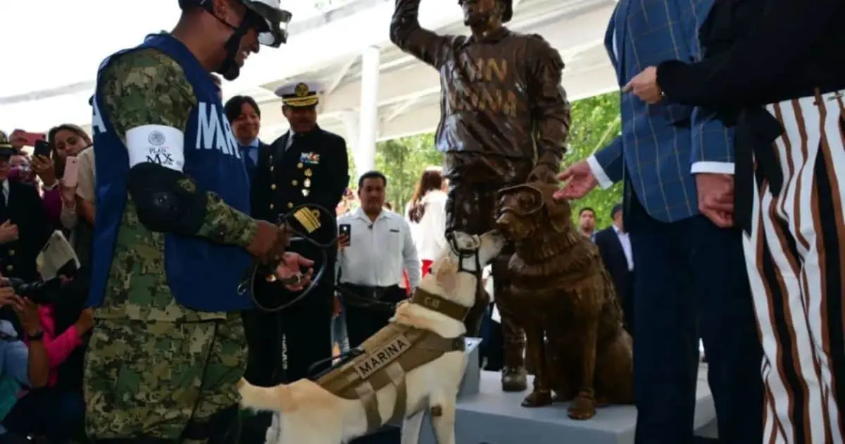 Frida y sus 53 operaciones en México y el mundo