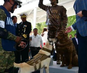 Frida y sus 53 operaciones en México y el mundo