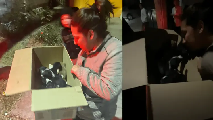 Foto: Policía de Hermosillo/EXPRESO.