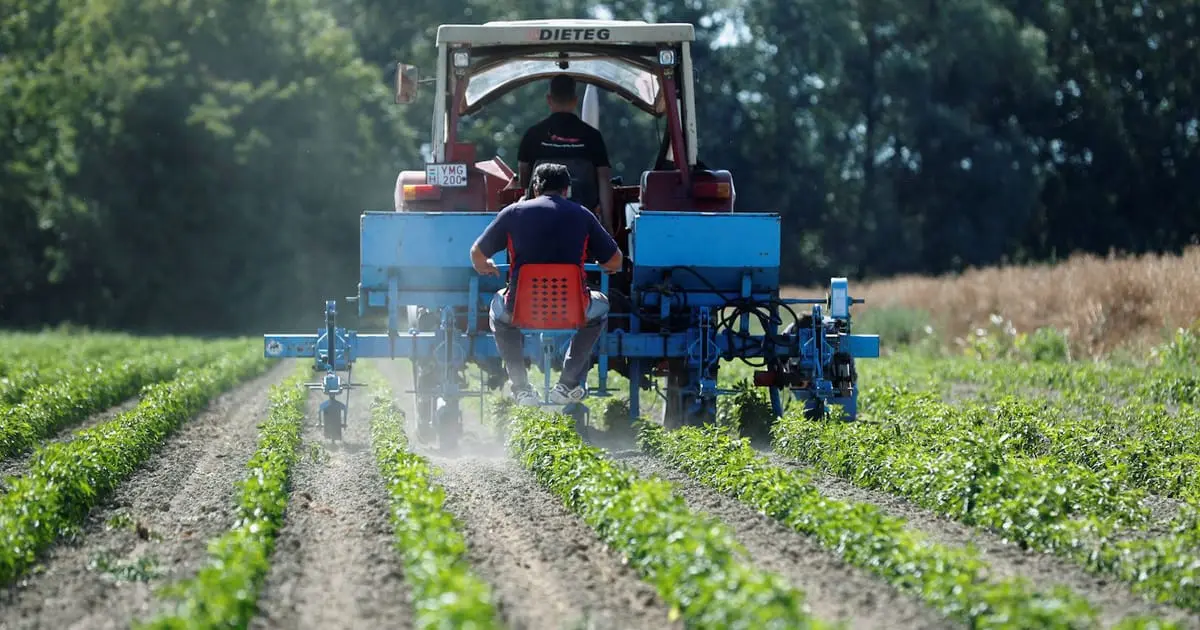 Senadores deciden no eliminar agroquímicos en Valle del Yaqui