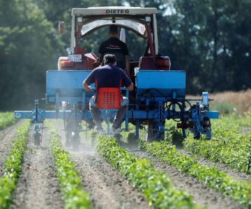 Senadores deciden no eliminar agroquímicos en Valle del Yaqui