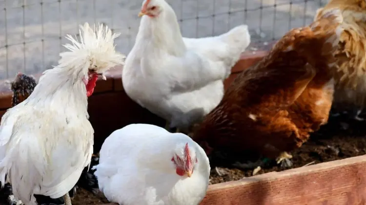 (Foto: Especial/EXPRESO).