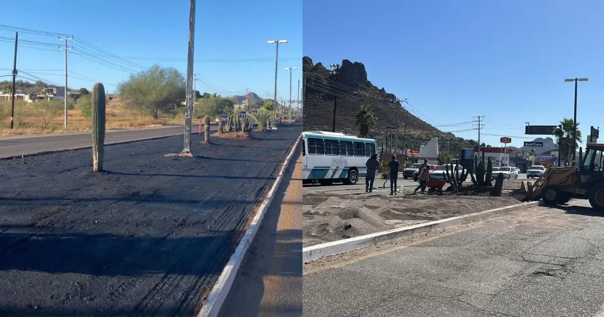 Genera polémica riego de asfalto en camellón con área verde de Guaymas