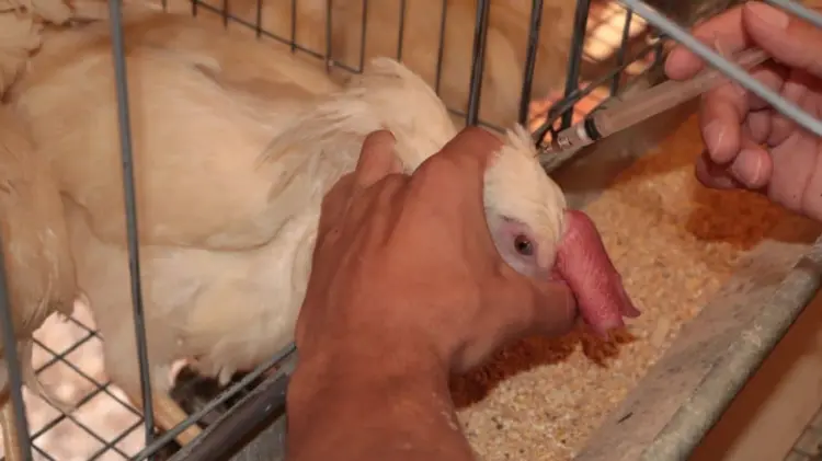 Foto: Especial/EXPRESO.