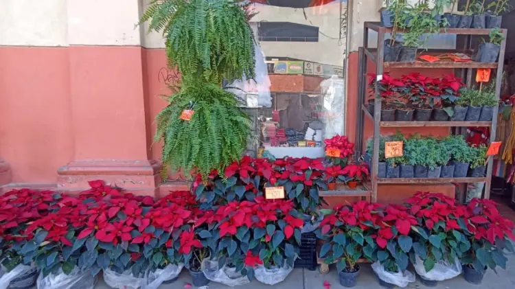 Foto: Denice López/EXPRESO