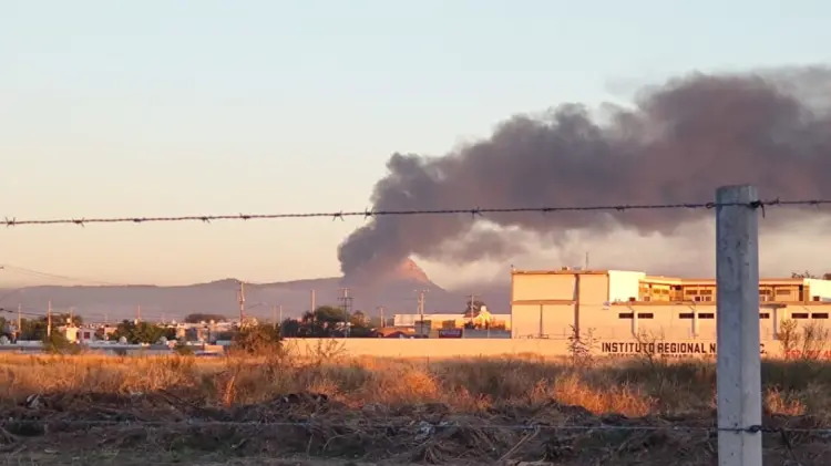 Foto: Guillermo Frescas/EXPRESO