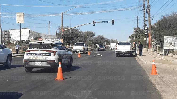 Foto: Tadeo Cruz/EXPRESO.