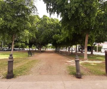 Ayuntamiento da pausa a Downtown Hermosillo