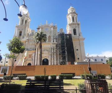 ¿Cuando encenderán el pino navideño en Catedral?