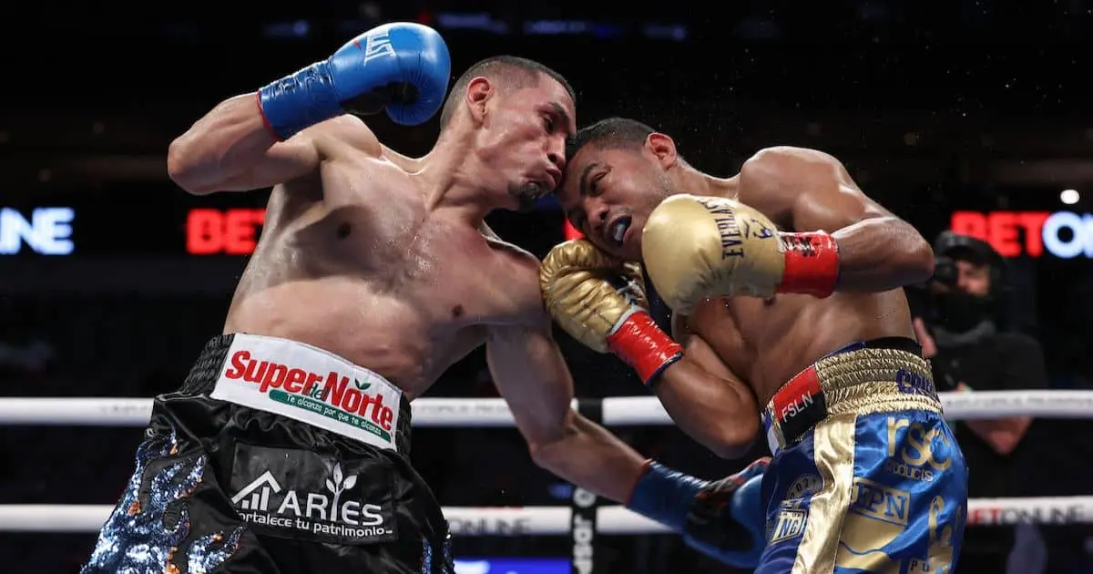 Gallo y Chocolatito están listos para la trilogía
