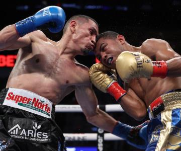 Gallo y Chocolatito están listos para la trilogía