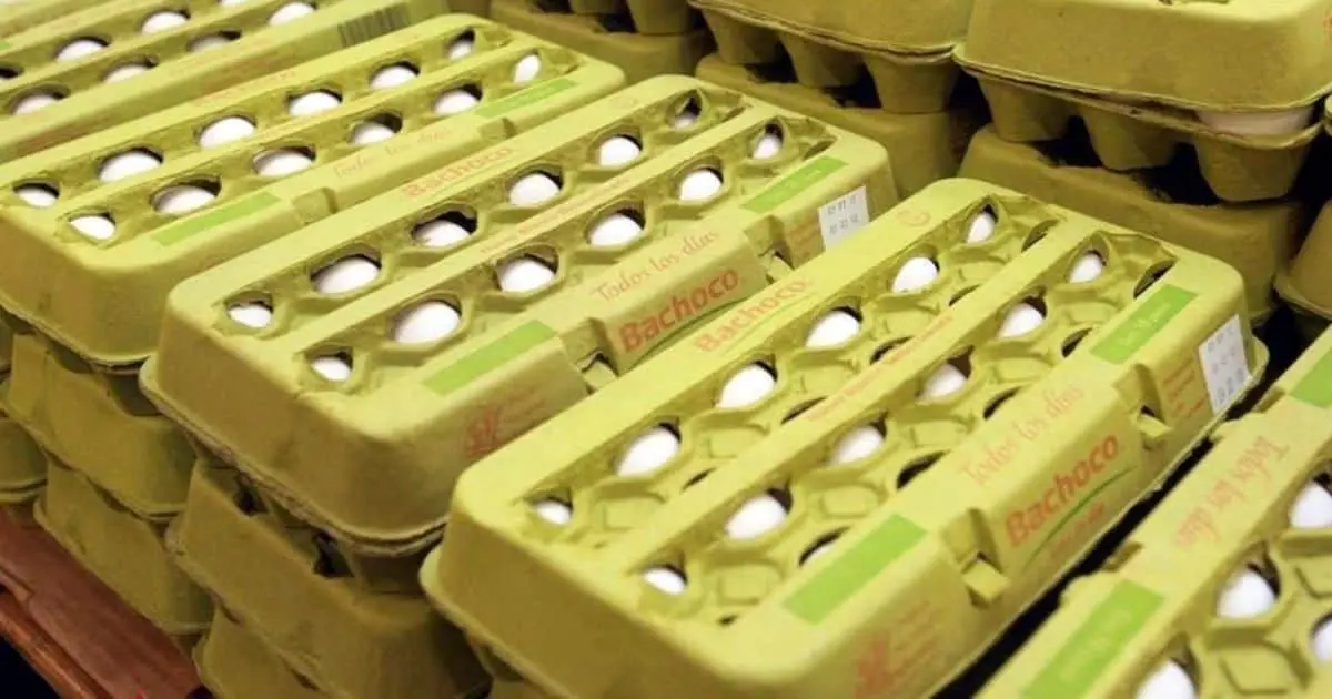 Bachoco compra Norson, productor de carne de cerdo
