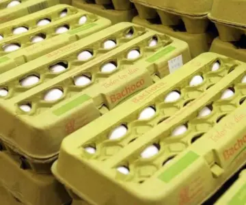 Bachoco compra Norson, productor de carne de cerdo