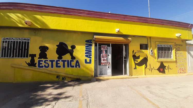 Una vida dedicada a la estética canina