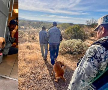 Él es Palomo, perrito que encontró a su desaparecido dueño, Don Goyo