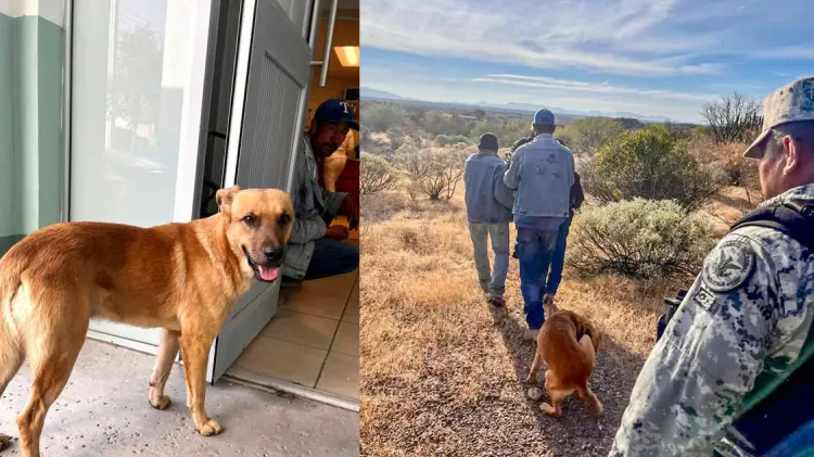 Foto: Cortesía/ EXPRESO