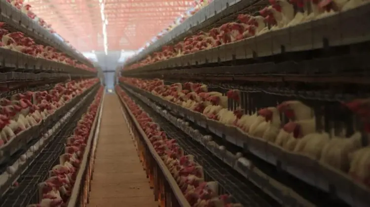 Foto: Cortesía/ EXPRESO