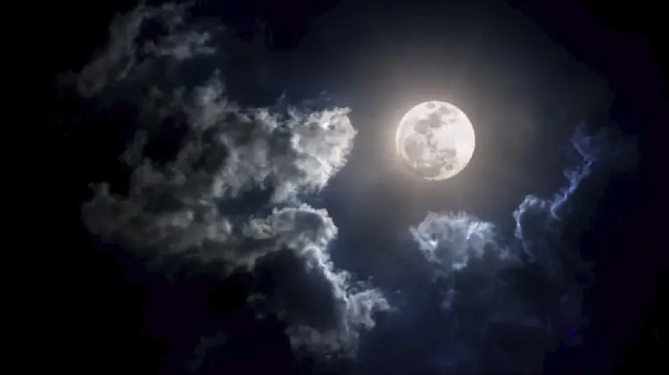 Foto: Especial/ EXPRESO