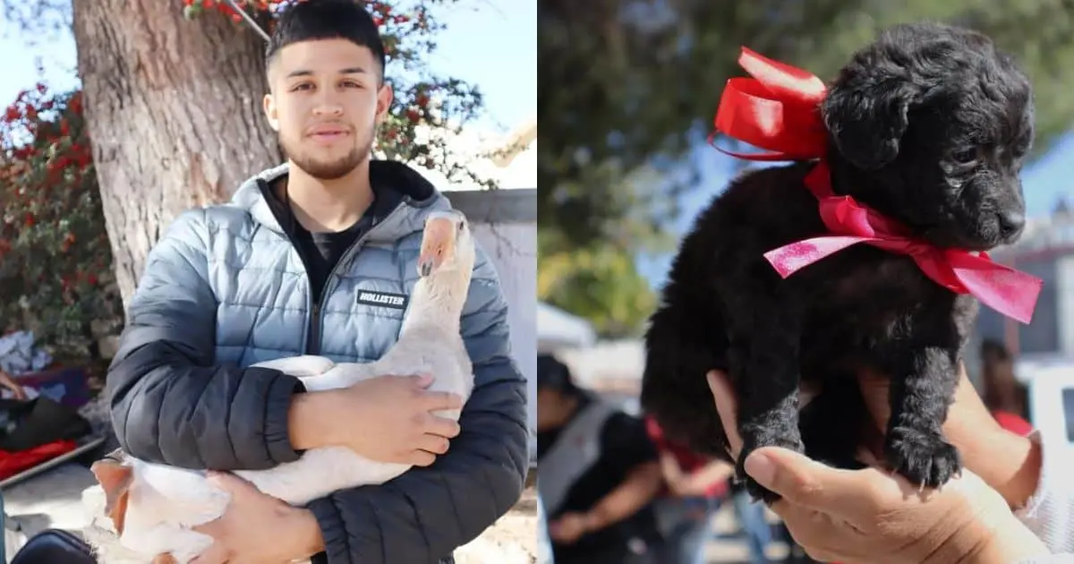 Realizan primer Bazar Urbano y Exposición de Mascotas