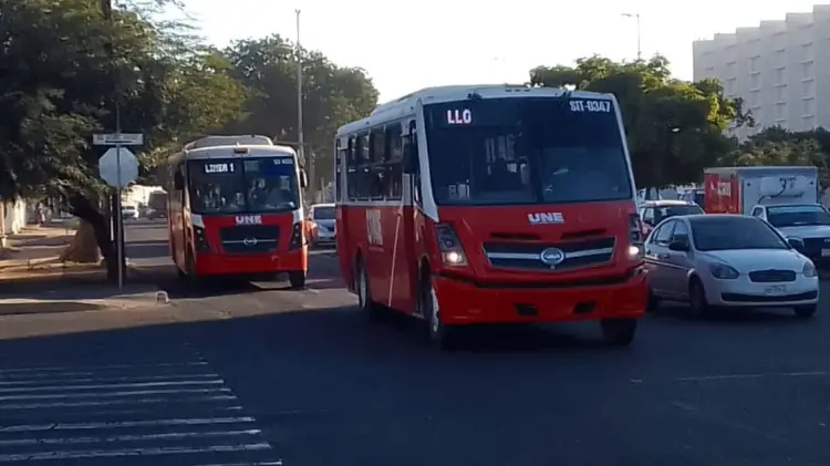 Foto: Germán Contreras/EXPRESO.