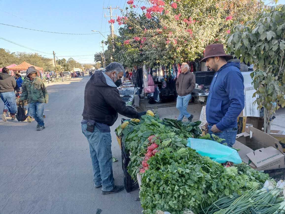 Hermosillenses llenan de vida el Tianguis de Los Olivos