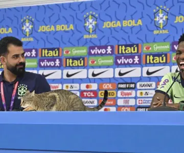 Multan a Selección brasileña por maltrato animal